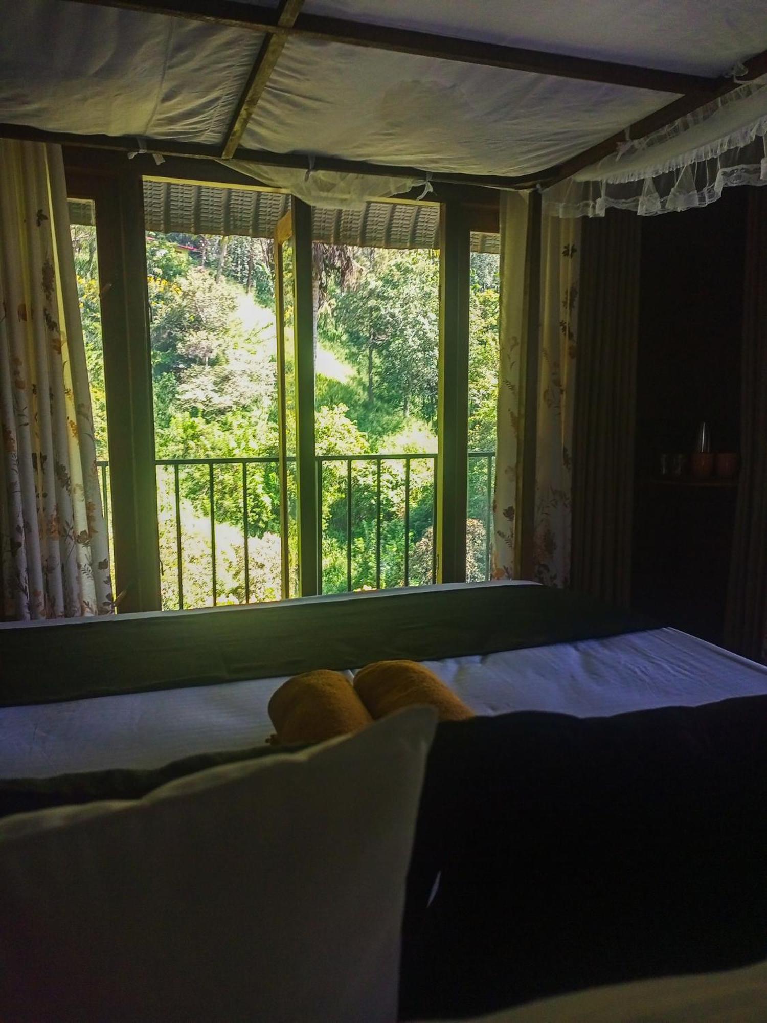埃拉Creek Downhills住宿加早餐旅馆 外观 照片
