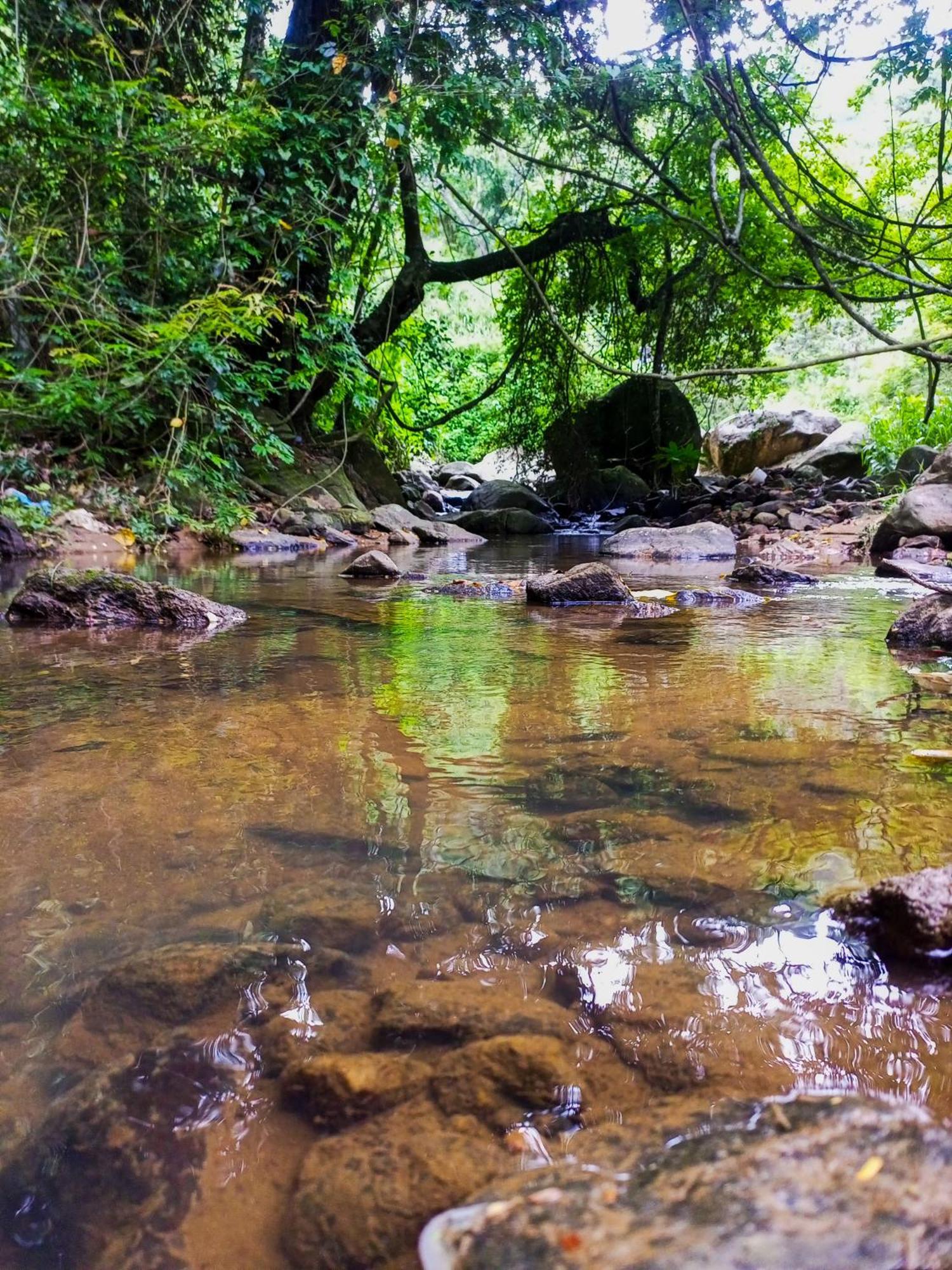 埃拉Creek Downhills住宿加早餐旅馆 外观 照片