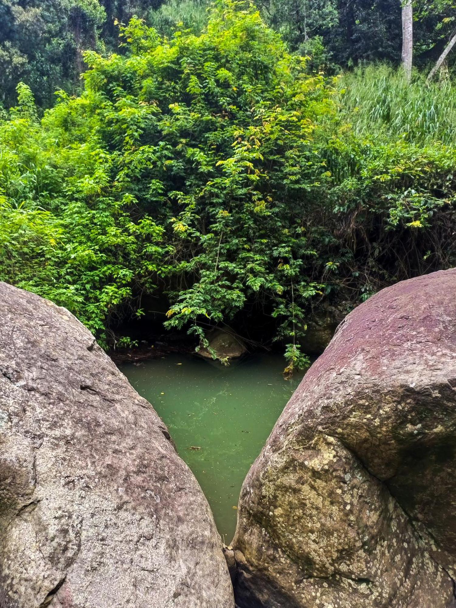 埃拉Creek Downhills住宿加早餐旅馆 外观 照片