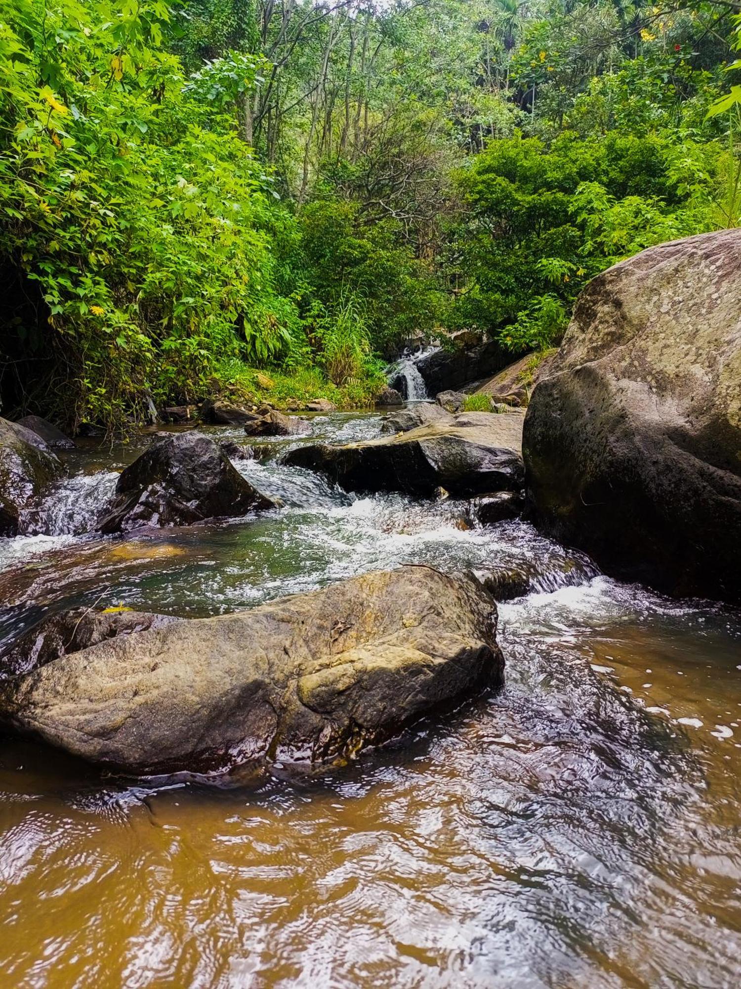 埃拉Creek Downhills住宿加早餐旅馆 外观 照片