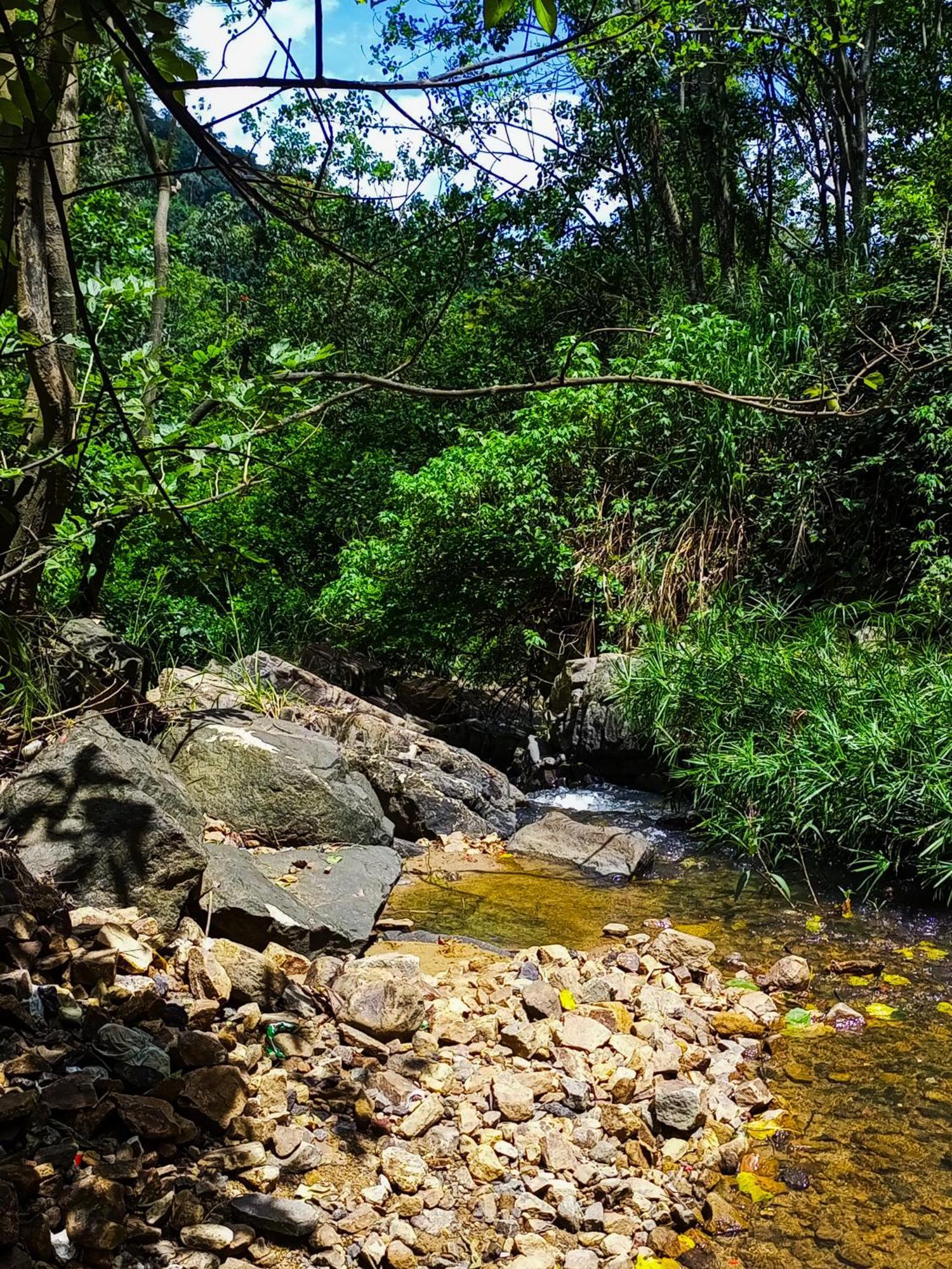 埃拉Creek Downhills住宿加早餐旅馆 外观 照片