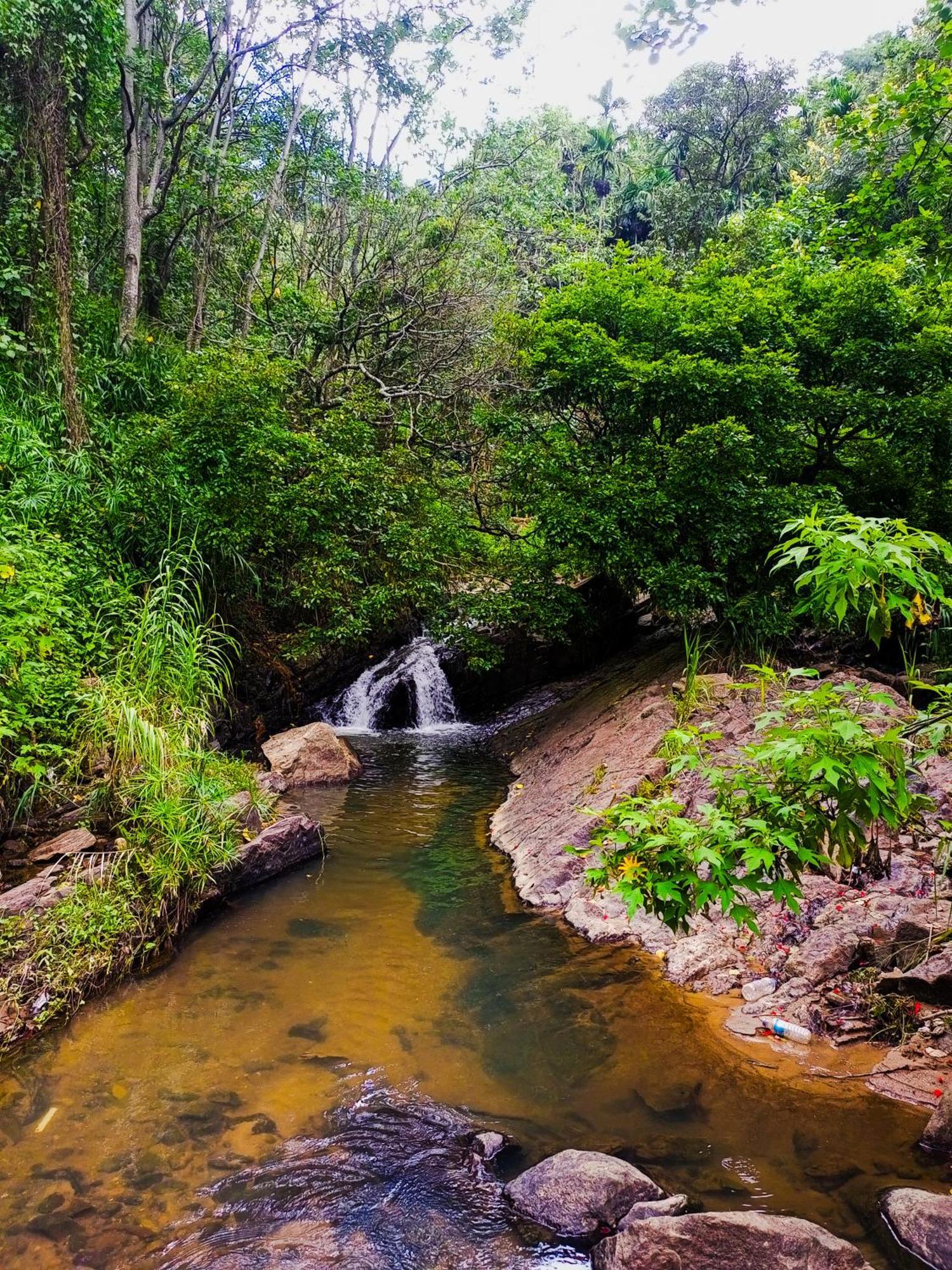 埃拉Creek Downhills住宿加早餐旅馆 外观 照片