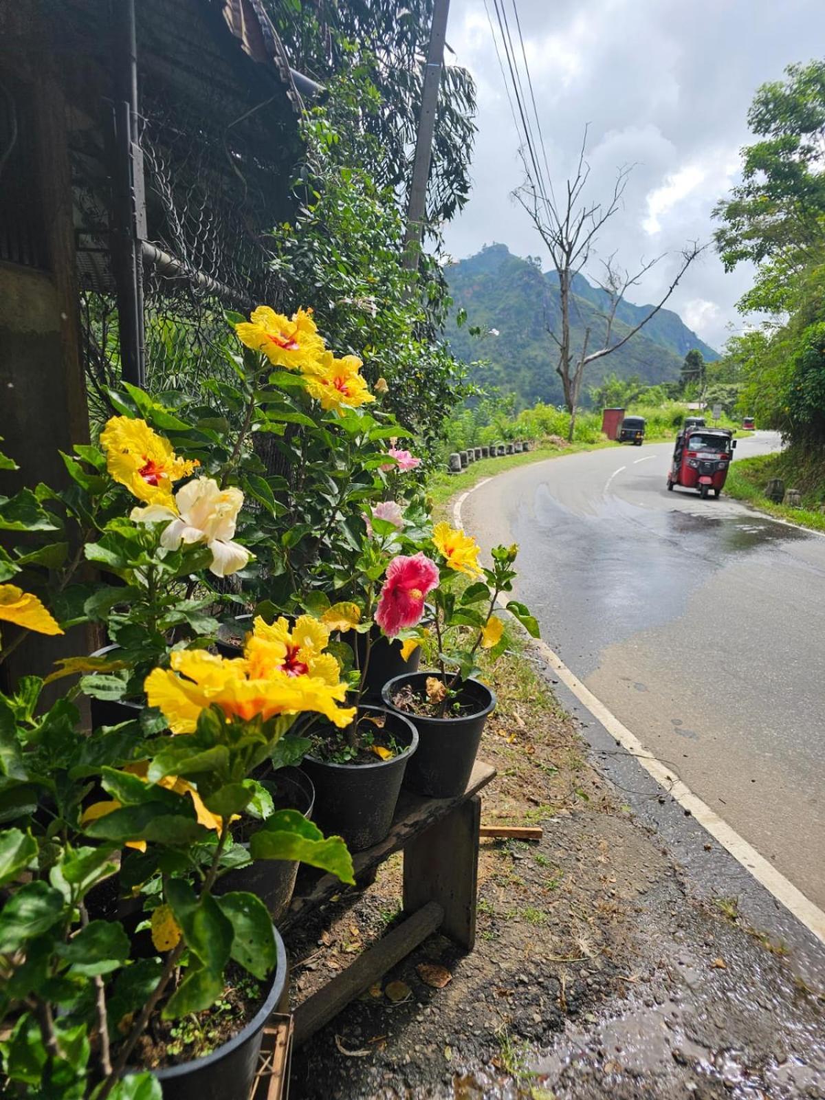 埃拉Creek Downhills住宿加早餐旅馆 外观 照片